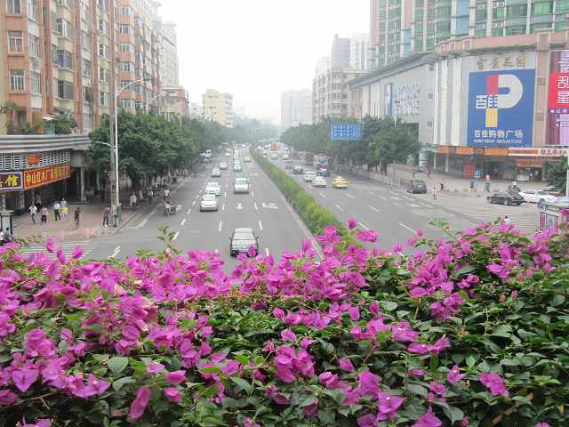 海珠区新港西路